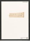 Navicula sp. (de-Toni-Nr.: Genus 1) Zeichnungen Sammlung Grunow (NHMW-BOT-W0368290)